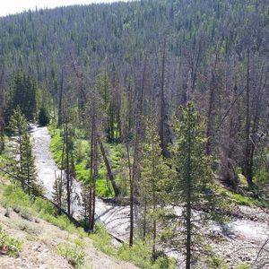 Meet your Posher, Rafael